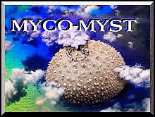 MYCOMYST